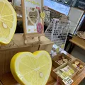 さんぷる工房の写真_295400