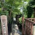 いがわこみちの写真_295403