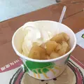 吹割の滝の写真_295849