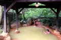 平湯民俗館 平湯の湯の写真_296369
