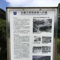 大宰府政庁跡の写真_296555