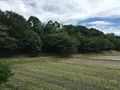 水城跡の写真_296597