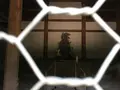 観世音寺の写真_296609