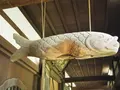 瑞龍寺の写真_296682