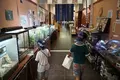 丸瀬布昆虫生態館の写真_297471