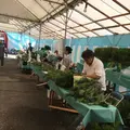 六道珍皇寺の写真_297621