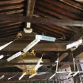 清水寺の写真_297628