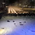 草津温泉の写真_298213