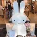 みっふぃー桜きっちん 嵐山店の写真_299384