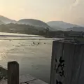 渡月橋の写真_299397