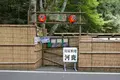 河鹿の写真_299453