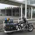 ノシャップ岬の写真_299535