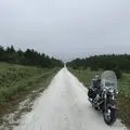 ノシャップ岬の写真_299538