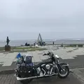 ノシャップ岬の写真_299542