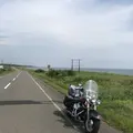 野付半島の写真_299797