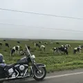 野付半島の写真_299801