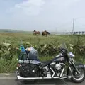 野付半島の写真_299805