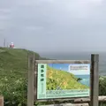 野付半島の写真_299810