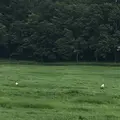 野付半島の写真_299812