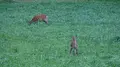 星野リゾート リゾナーレトマムの写真_299897