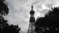 大通公園の写真_299945