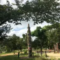 大仙陵古墳（伝仁徳天皇陵）の写真_300200