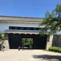 大阪城の写真_300339