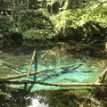 多和平の写真_300433