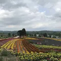 タウシュベツ橋梁展望台の写真_300823