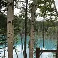 タウシュベツ橋梁展望台の写真_301058