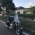 ファーム富田の写真_301149
