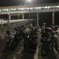 ファーム富田の写真_301152