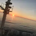 新日本海フェリー 小樽フェリーターミナルの写真_301172