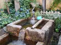 水の都大垣の湧き水の写真_301332