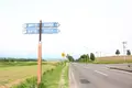 ケンとメリーの木の写真_301471