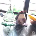 えんにち茶屋の写真_301505