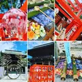 新潟総鎮守 白山神社の写真_301907