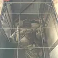 東大寺南大門金剛力士像の写真_302044