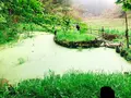 幣立神宮（幣立神社）の写真_302321