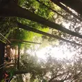 幣立神宮（幣立神社）の写真_302322