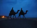 月の沙漠記念館の写真_302620