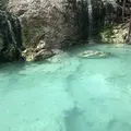 湯畑の写真_302881