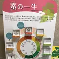 富岡製糸場の写真_303092