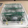 富岡製糸場の写真_303093