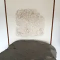薬師寺の写真_303341