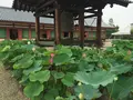 薬師寺の写真_303344