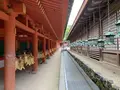 春日大社の写真_303501