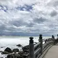 桂浜の写真_303622