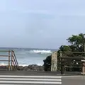 室戸岬の写真_303715