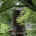 談山神社の写真_303779